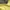 NIKE SB YELLOW PULLOVER HODIE  photo 5