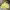 NIKE SB YELLOW PULLOVER HODIE  photo 1