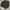 Teenie Weenie Cableknit 3D photo 1