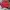 STUSSY USa PULLOVER HODIE  photo 1