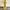 Skateboard 'Shake Junt X Motion Green Yellow' fullset. photo 3