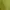 Pomelo Neon Green Top  photo 3