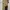 Coverall carhartt photo 5