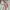 HerPalais Coquette Crop top Wanita multicolor pink photo 2