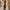 Streetwear Boots Pria brown photo 7