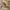Streetwear Boots Pria brown photo 5
