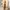 Streetwear Boots Pria brown photo 3