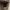 Streetwear Boots Pria brown photo 4