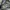 Jaket Outdor Japan FieldCore STRETCH photo 6
