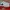 Nike Court Vision Lo NN photo 1