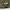 Oakley Parka Army  photo 4