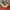 Converse Chuck 70 Hi Fuse Tape photo 1