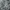 ZARA Minimalist Casual Formal pants Pria green photo 3