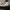 Converse Chuck 70 Hi ERX 260 photo 1
