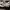 Converse Chuck 70 Hi ERX 260 photo 3