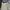 Dickies Khaki Pants