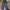 Jeans HW / Highwaist Kulot Loose Unfinnish photo 1