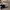 Camera analog Braun SR 2000 photo 2