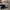 Camera Analog Braun SR 2000