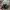 Camera analog Braun SR 2000 photo 1