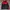 Jacket windbreaker NBA reversible original photo 2
