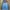 Jaket Outdoor Reebok Hoodie Waterproof Pria Warna Biru Abu photo 1