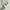 Athletic Garment Nylon Track Jacket photo 8