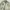 Athletic Garment Nylon Track Jacket photo 4
