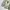 Athletic Garment Nylon Track Jacket photo 7