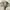 Athletic Garment Nylon Track Jacket photo 6