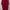 Nike Tee Maroon photo 1