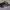 Adidas ZX850 Trainers Kids photo 1