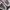 Sepatu Nike Air Max 270 React SE "Bubble Wrap" Original photo 7