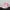 Sepatu Nike Air Max 270 React SE "Bubble Wrap" Original photo 2