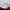 Sepatu Nike Air Max 270 React SE "Bubble Wrap" Original