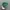 Vintage Hat Pria green photo 1
