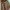 outer knit coklat cardigan brown coat photo 3