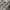 J Ferrar Long Sleeve Shirt Iced Color  photo 6