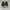 Adidas Superstar white black photo 3