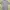 RALPH LAUREN SHORT SLEEVE SHIRT SECOND ORIGINAL photo 1