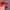 Streetwear Vintage Hat Pria red photo 4