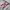 hoodie acover photo 5