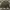 Reverseable Jacket Nylon Sherpa photo 2