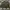 Reverseable Jacket Nylon Sherpa
