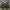 Reverseable Jacket Nylon Sherpa photo 1