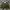 Reverseable Jacket Nylon Sherpa