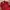 Wacko Maria Parka Jacket Red M65 photo 3