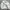 BERSKHA DOWN JACKET  CROP WHITE photo 3