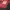 WASHINGTON REDSKINS (COMMANDERS) NFL JERSEY  photo 2