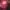 WASHINGTON REDSKINS (COMMANDERS) NFL JERSEY  photo 1